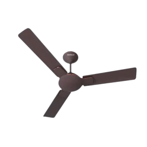 Havells 56 inch Enticer - Espresso Copper Brown